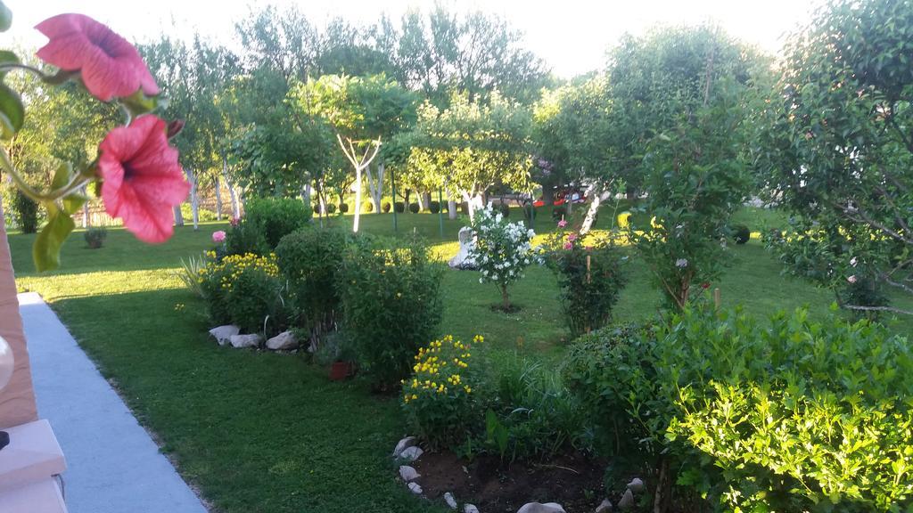 Guesthouse Tomas Catrnja Luaran gambar