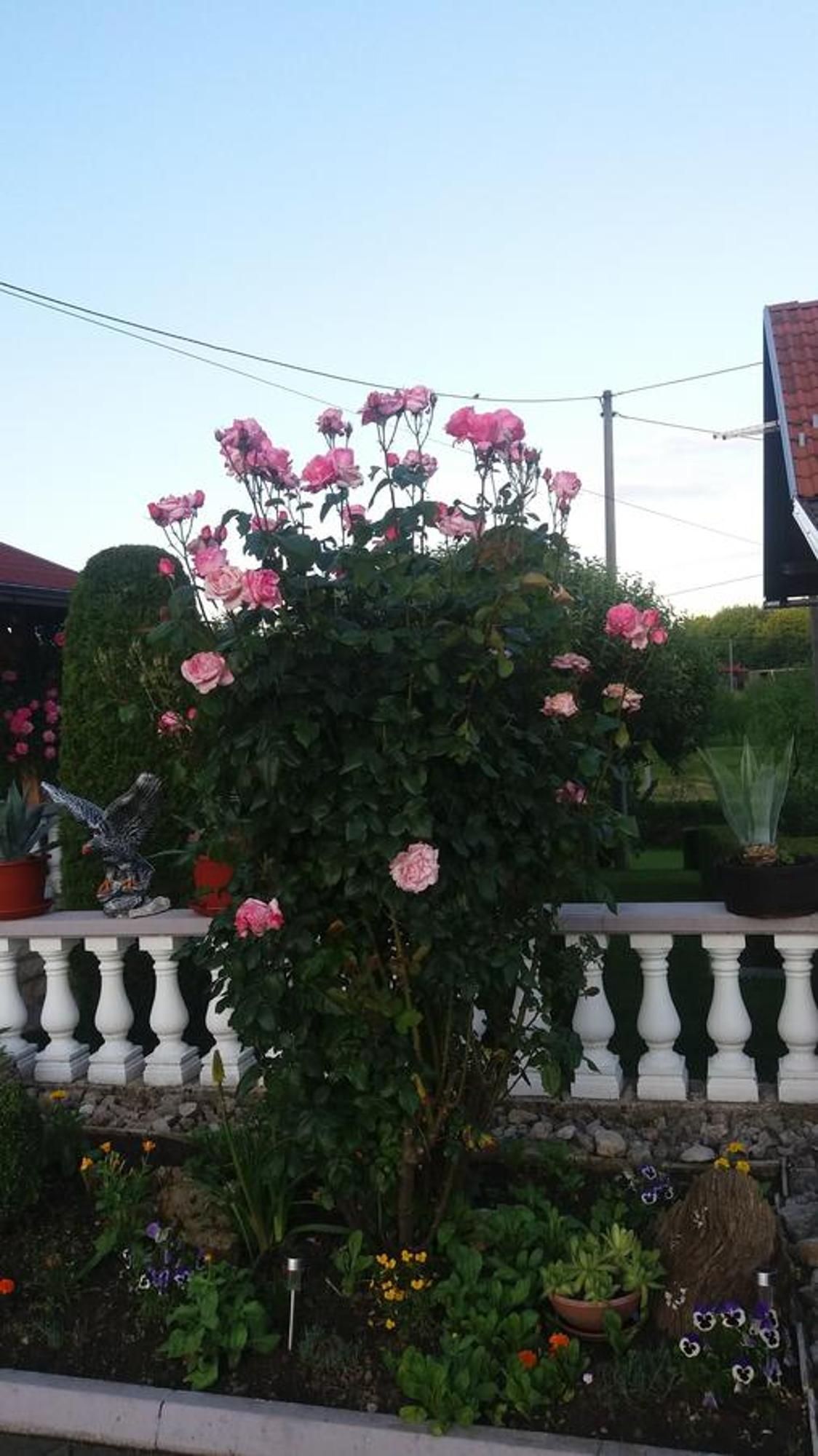 Guesthouse Tomas Catrnja Luaran gambar