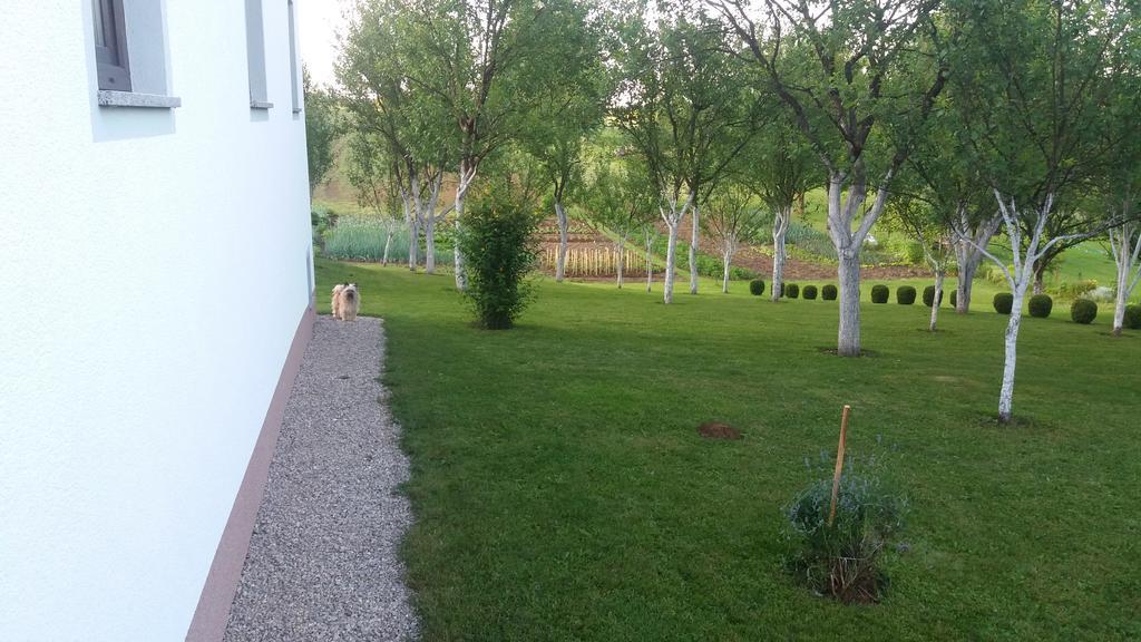 Guesthouse Tomas Catrnja Luaran gambar